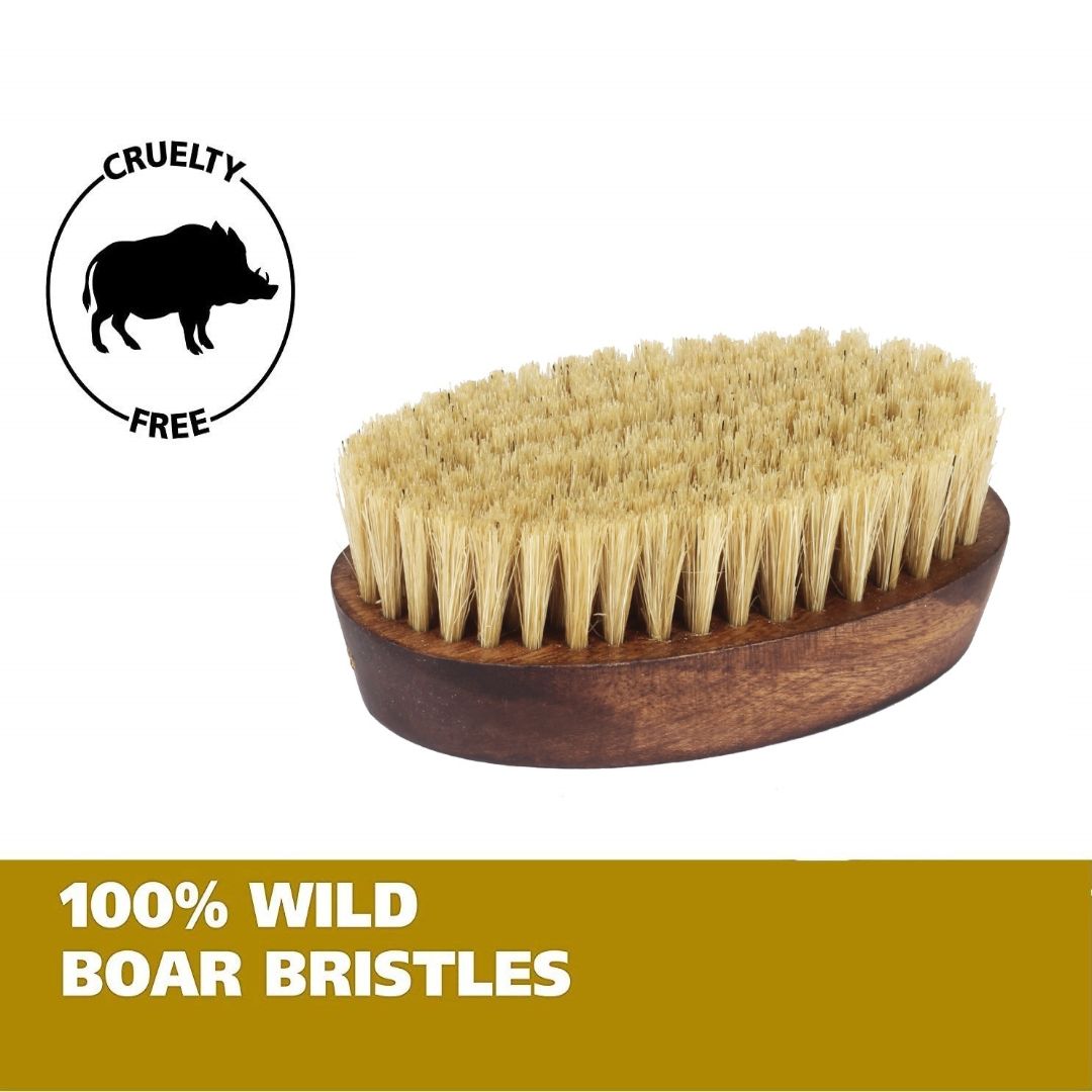 CASTO Beard Brush With 100% Natural Boar Bristles