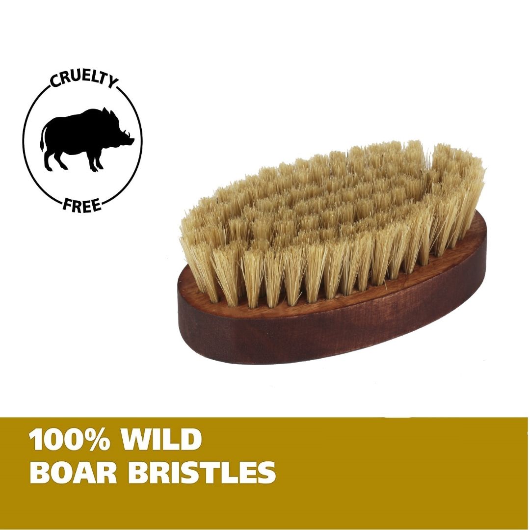 CASTO Beard Brush With 100% Natural Boar Bristles Taper